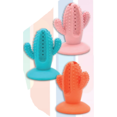 Brinquedo Borracha Cão Cactus 
